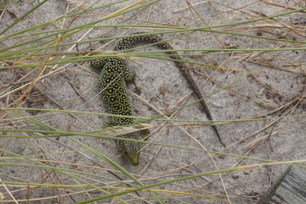 Foto 51 da atividade Galeria de Fotos