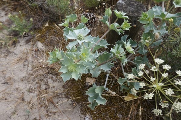 Foto 18 da atividade Galeria de Fotos