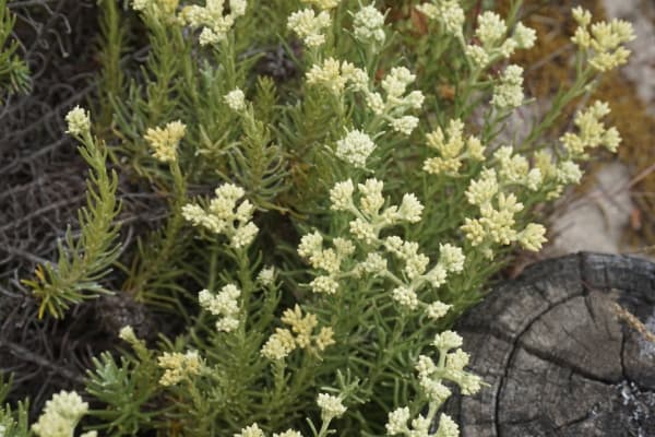 Foto 15 da atividade Galeria de Fotos