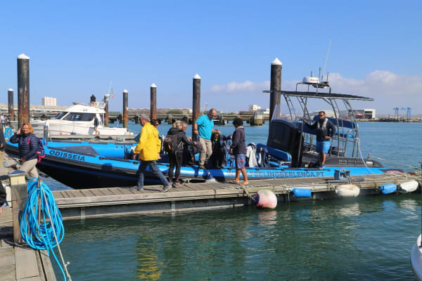 Foto 180 da atividade Galeria de Fotos