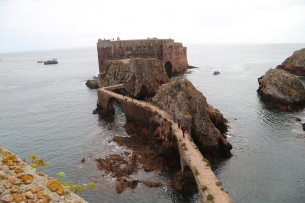 Foto 136 da atividade Galeria de Fotos