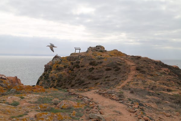 Foto 103 da atividade Galeria de Fotos