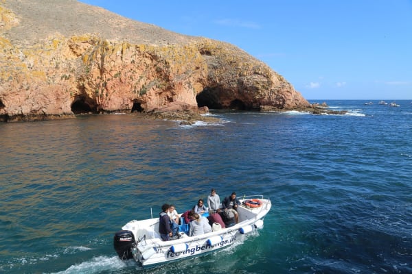 Foto 95 da atividade Galeria de Fotos