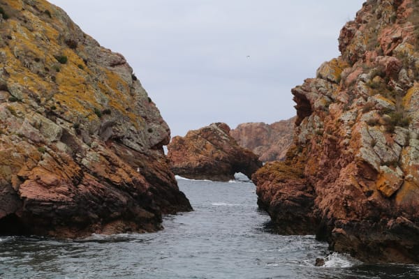 Foto 89 da atividade Galeria de Fotos