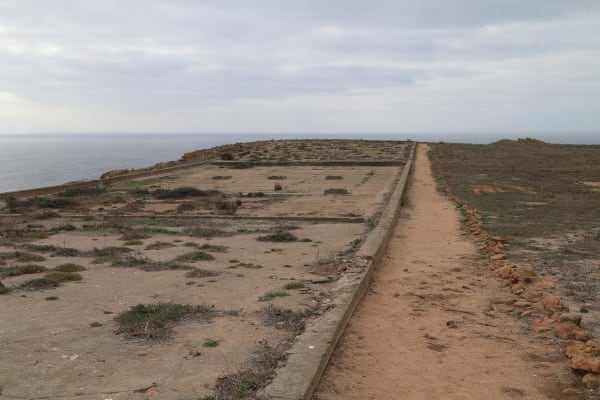 Foto 82 da atividade Galeria de Fotos