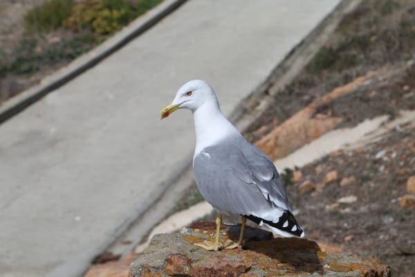 Foto 40 da atividade Galeria de Fotos