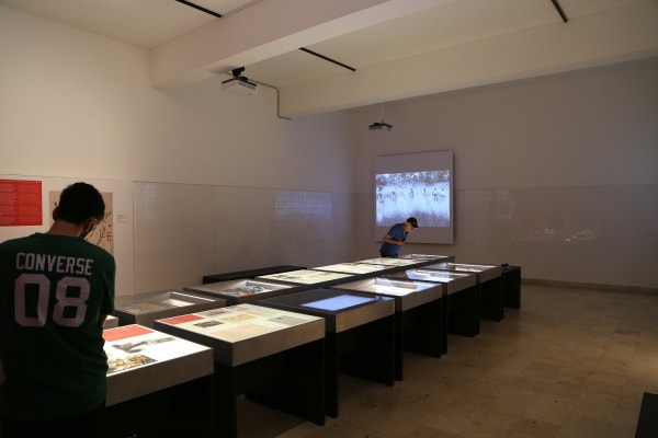 Foto 24 da atividade Galeria de Fotos