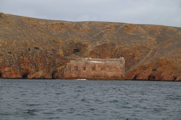 Foto 19 da atividade Galeria de Fotos