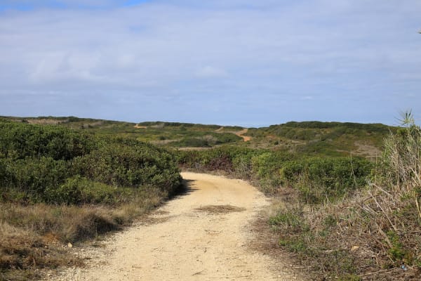 Foto 135 da atividade Galeria de Fotos