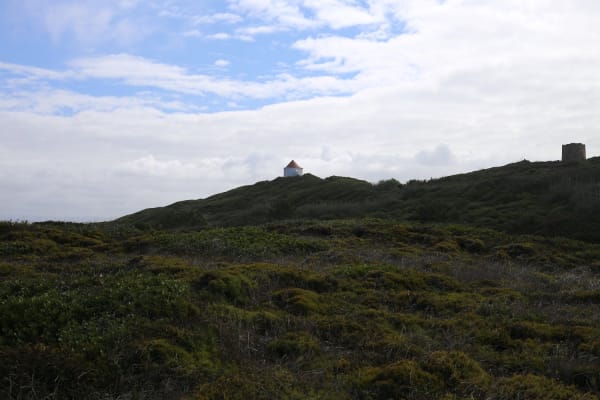 Foto 129 da atividade Galeria de Fotos