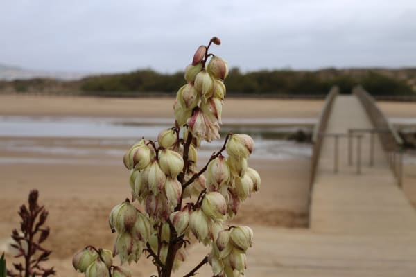 Foto 125 da atividade Galeria de Fotos