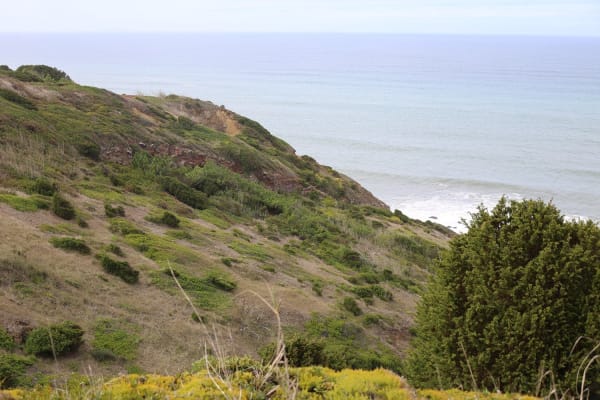 Foto 20 da atividade Galeria de Fotos