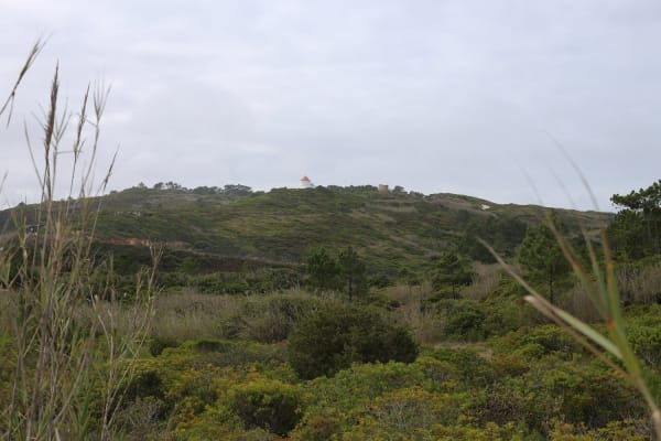 Foto 11 da atividade Galeria de Fotos