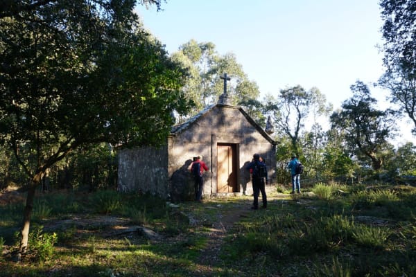 Foto 48 da atividade Galeria de Fotos