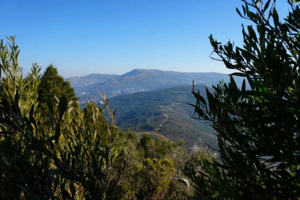 Foto 33 da atividade Galeria de Fotos