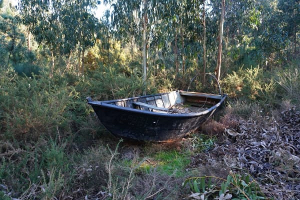 Foto 22 da atividade Galeria de Fotos