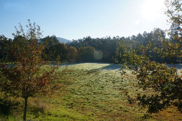 Foto 9 da atividade Galeria de Fotos