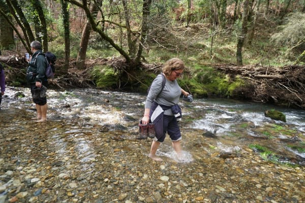 Foto 290 da atividade Galeria de Fotos