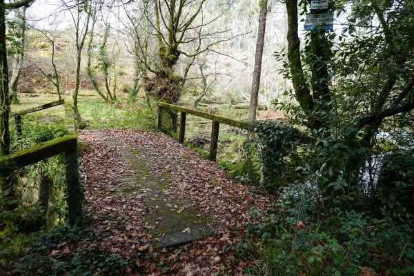 Foto 284 da atividade Galeria de Fotos