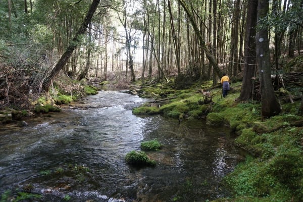 Foto 281 da atividade Galeria de Fotos