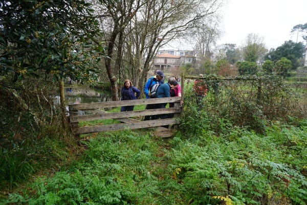 Foto 276 da atividade Galeria de Fotos