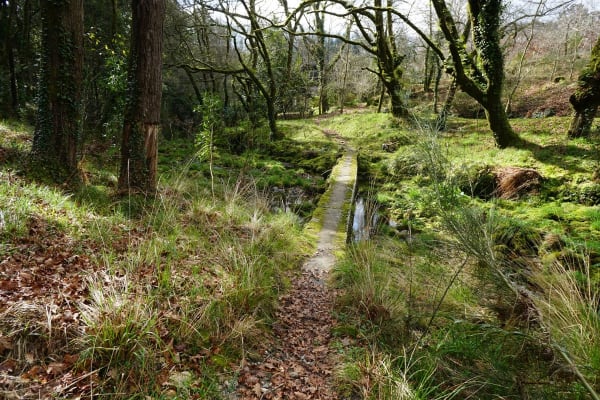 Foto 269 da atividade Galeria de Fotos