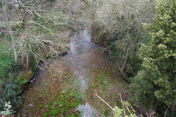 Foto 264 da atividade Galeria de Fotos