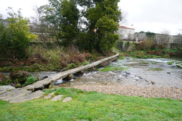 Foto 263 da atividade Galeria de Fotos