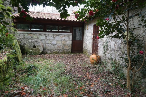 Foto 256 da atividade Galeria de Fotos