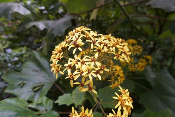 Foto 231 da atividade Galeria de Fotos