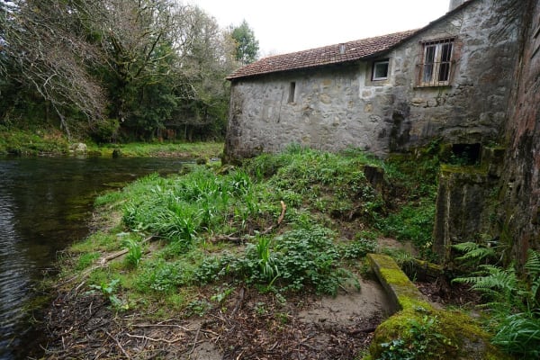 Foto 230 da atividade Galeria de Fotos