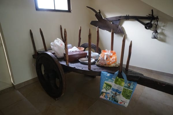 Foto 225 da atividade Galeria de Fotos