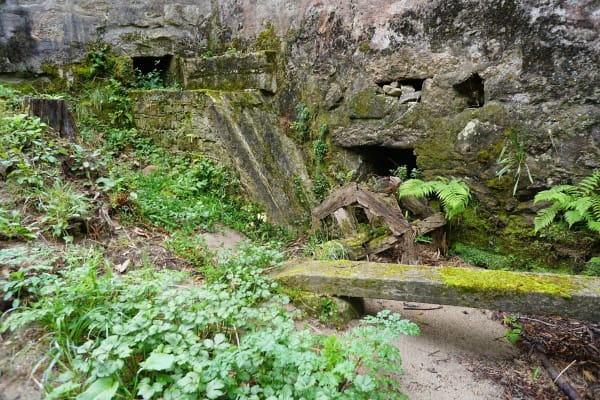 Foto 211 da atividade Galeria de Fotos