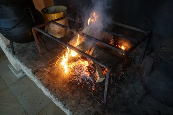 Foto 199 da atividade Galeria de Fotos