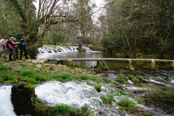 Foto 122 da atividade Galeria de Fotos