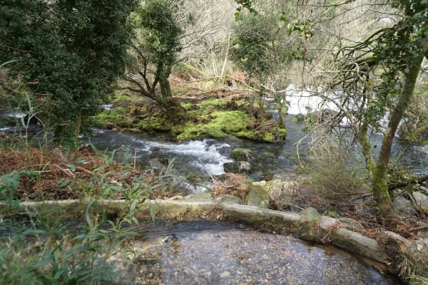 Foto 123 da atividade Galeria de Fotos