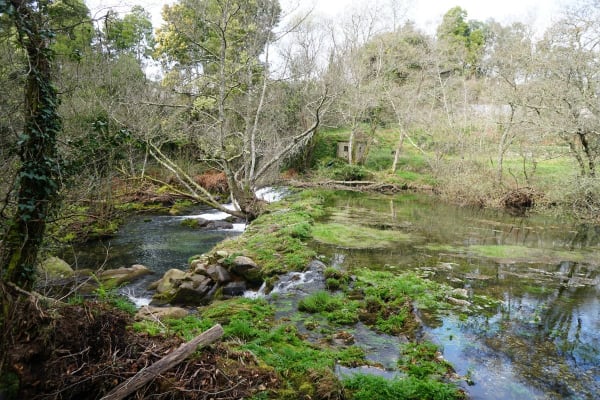 Foto 124 da atividade Galeria de Fotos