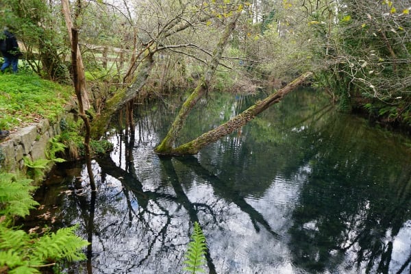 Foto 110 da atividade Galeria de Fotos