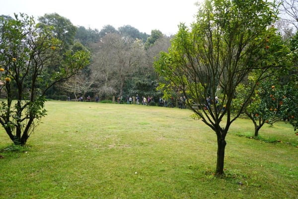 Foto 92 da atividade Galeria de Fotos