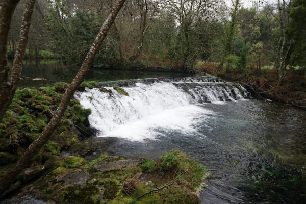 Foto 68 da atividade Galeria de Fotos