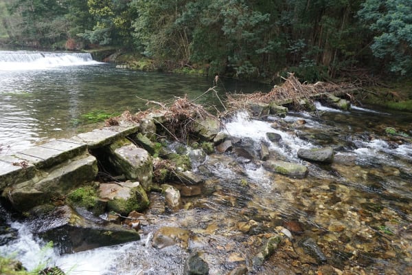 Foto 49 da atividade Galeria de Fotos