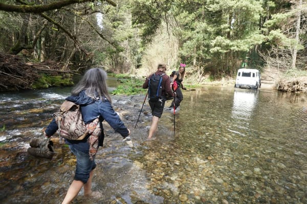 Foto 44 da atividade Galeria de Fotos