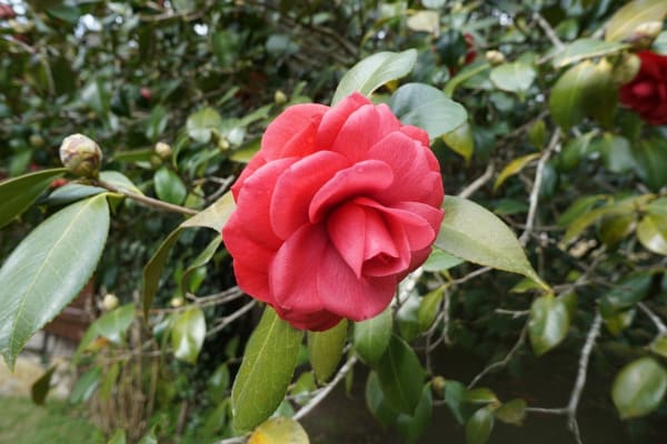 Foto 37 da atividade Galeria de Fotos