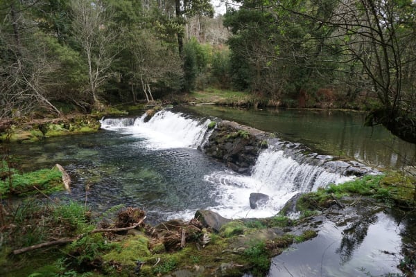 Foto 22 da atividade Galeria de Fotos