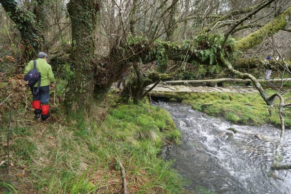 Foto 20 da atividade Galeria de Fotos