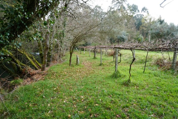 Foto 16 da atividade Galeria de Fotos