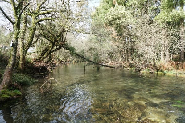 Foto 15 da atividade Galeria de Fotos