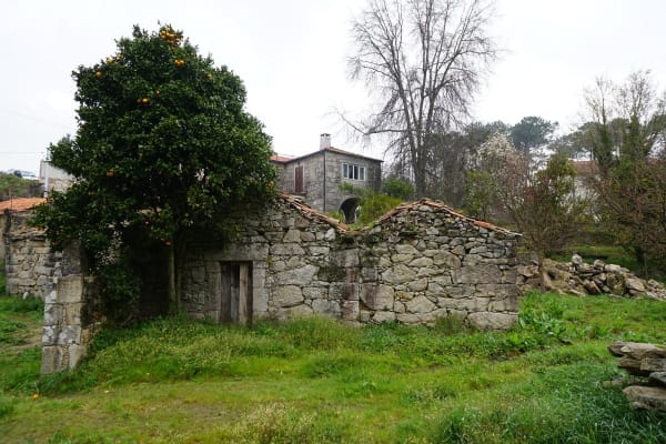 Foto 10 da atividade Galeria de Fotos