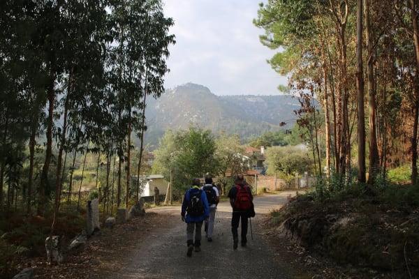 Foto 128 da atividade Galeria de Fotos