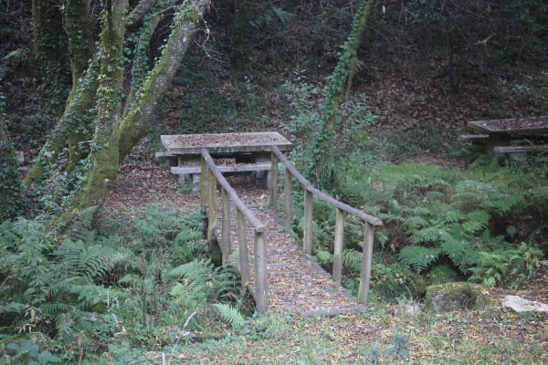 Foto 116 da atividade Galeria de Fotos